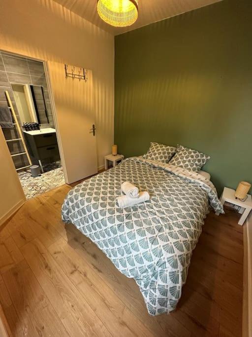 Chill And Work / Gare Tgv / Beau T2 Renove Apartment Rennes Ngoại thất bức ảnh